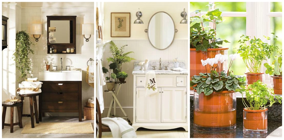 Bemyguestwithdenise Denise Cooper