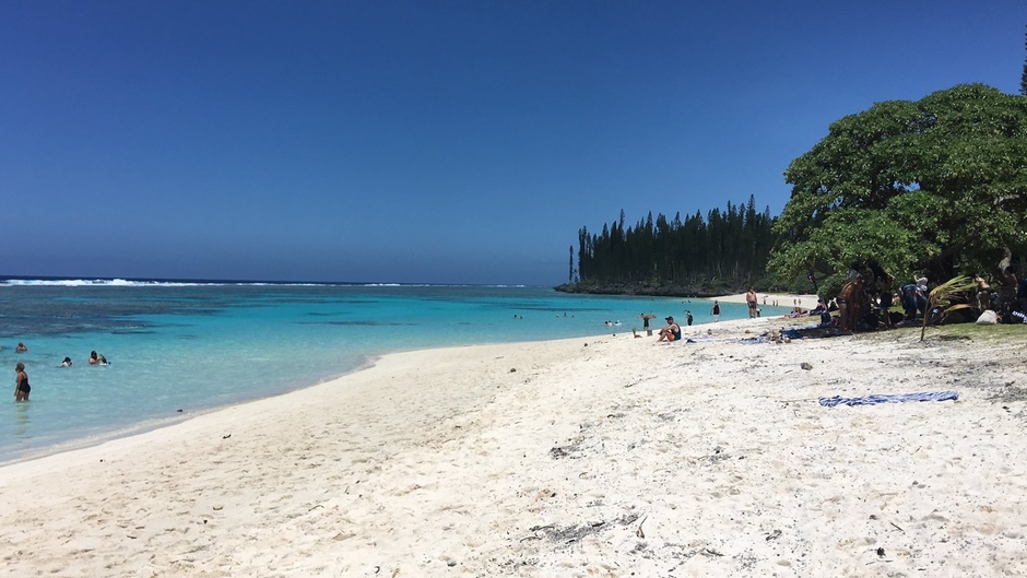 Uma Brasileira Em new Zealand