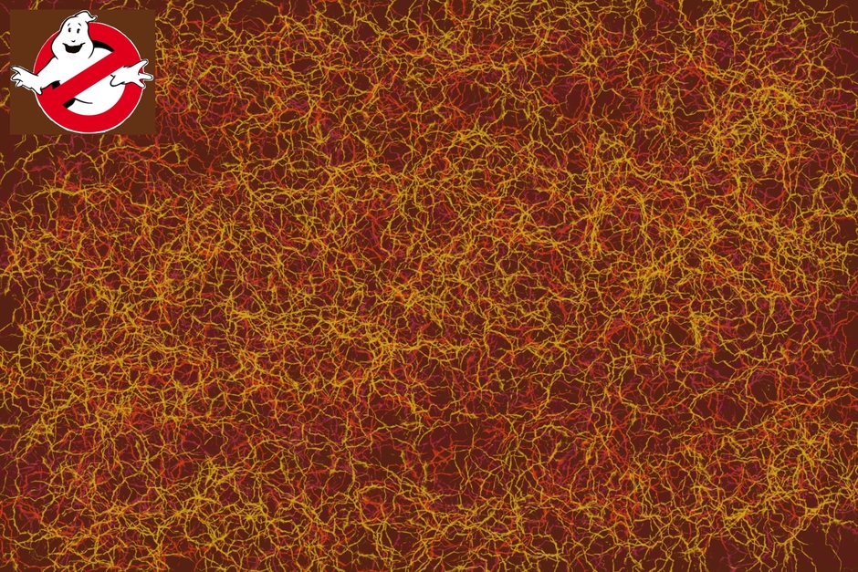 Animal, Ghost and People