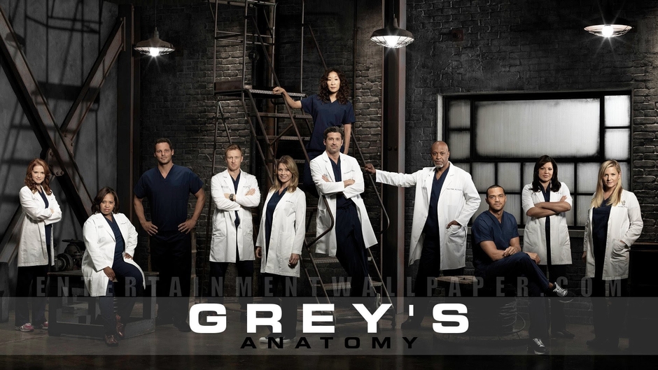 Greys Anatomy Season 14 || Online Video