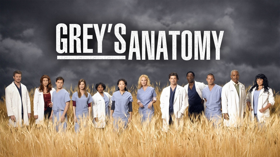 Greys Anatomy Season 14 || Full Series