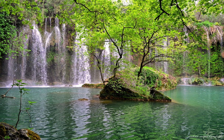 يوميات كارتونيه