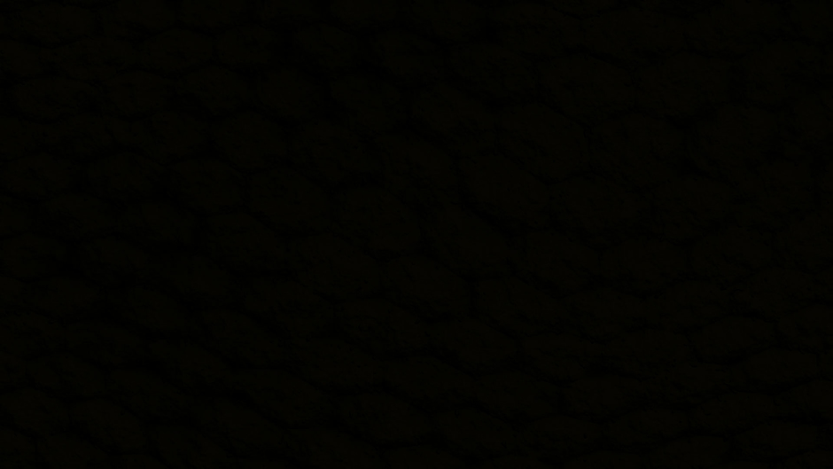 周星馳所有粵語 - HD