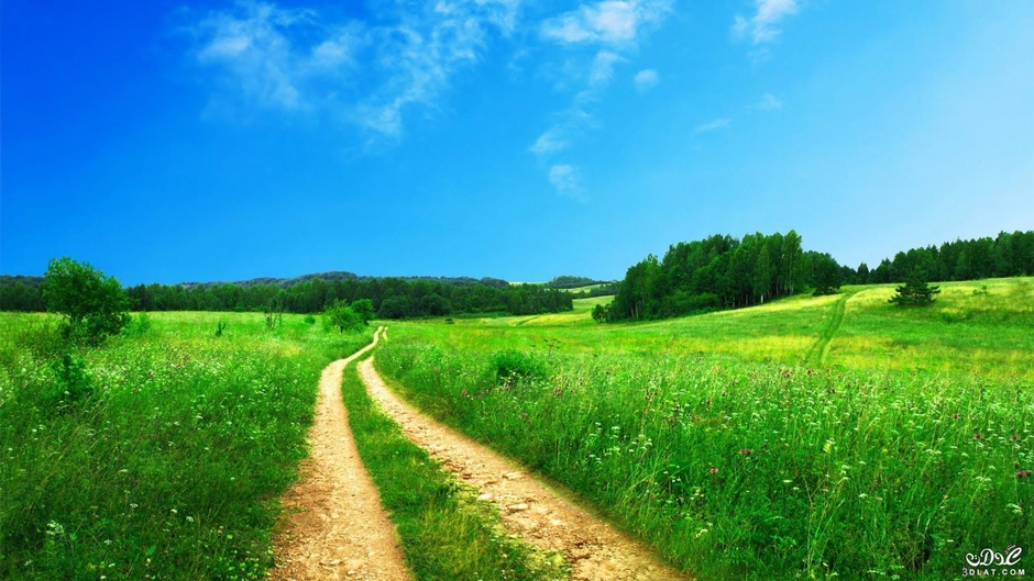 Mo tube مو تيوب