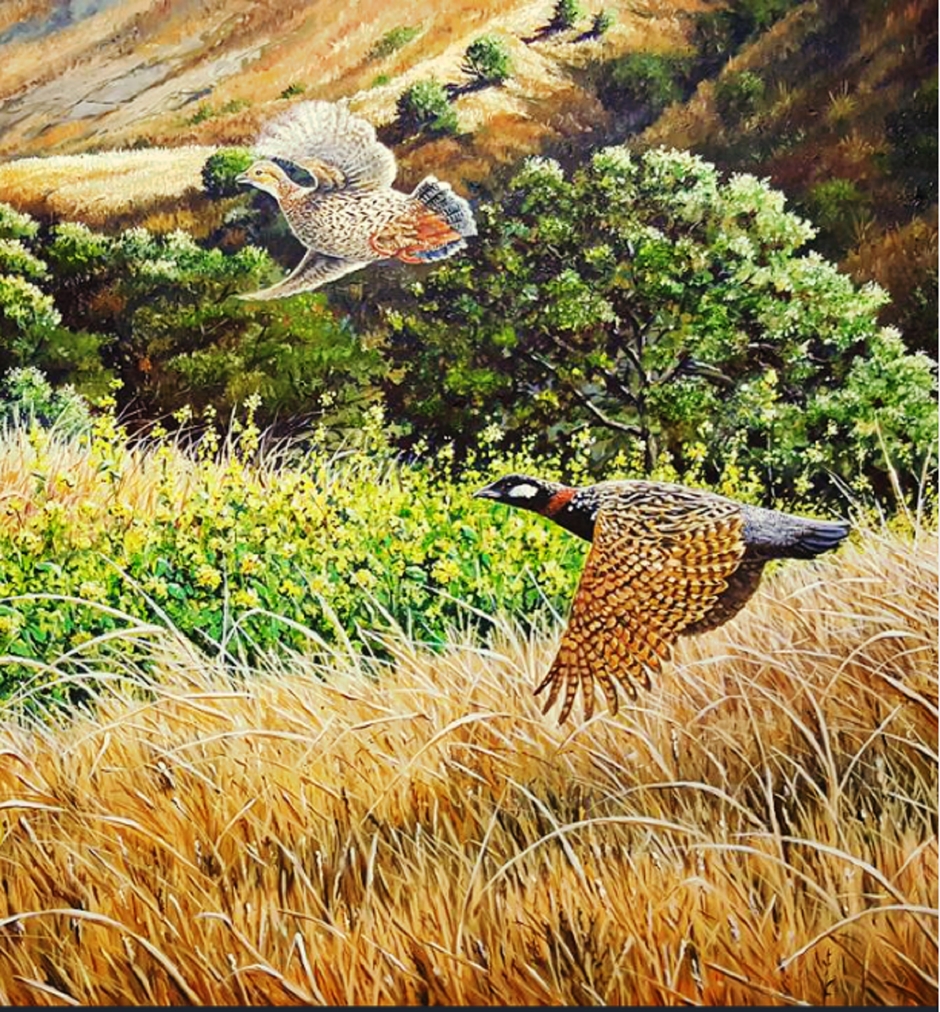 hunting fishing Videos