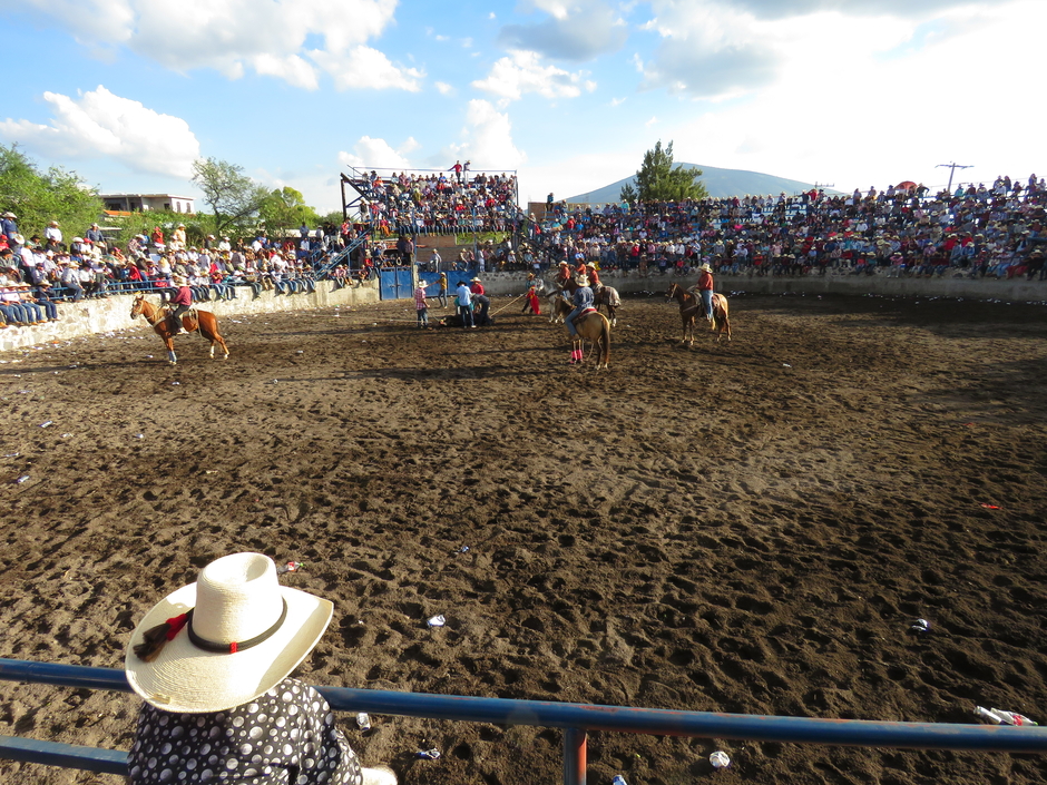 FAENAS DEL JARIPEO