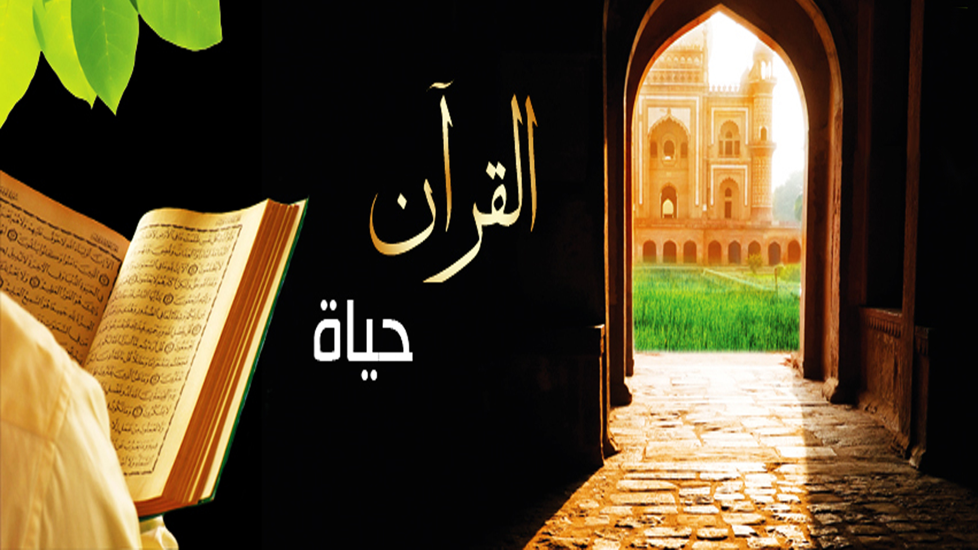 القران حياة