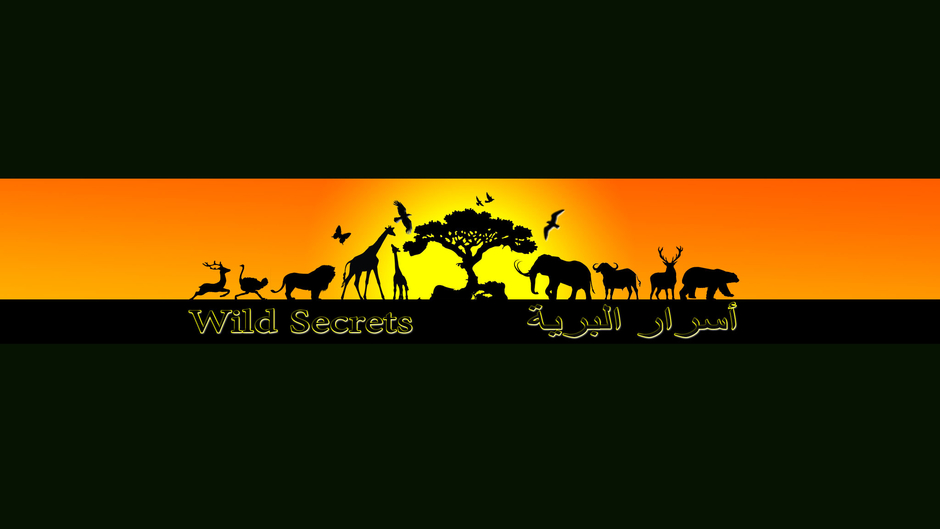 wild secretss