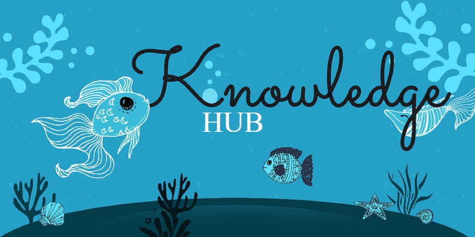 Knowledge Hub