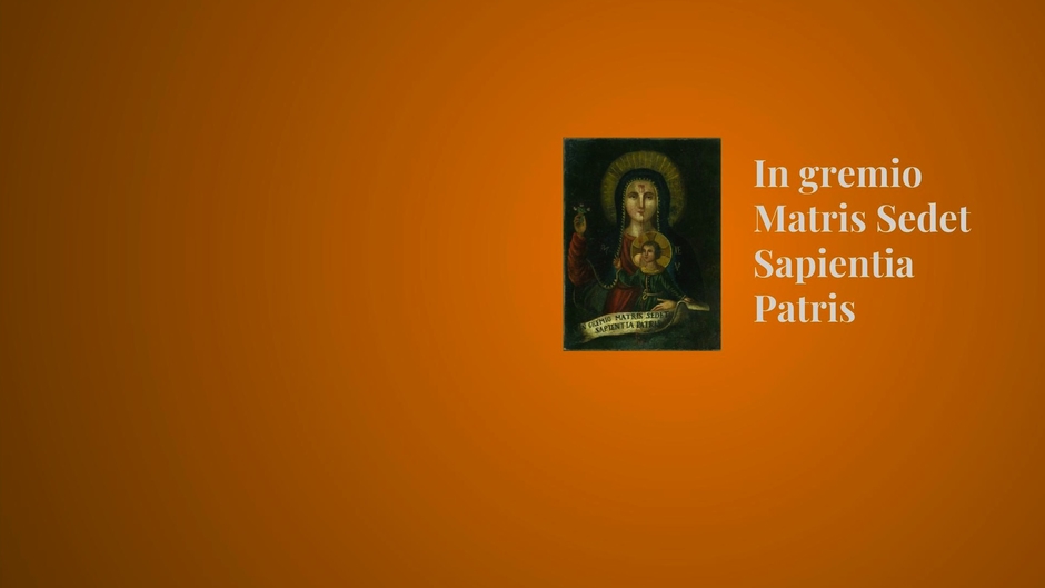 Madonna dei Debitori TV