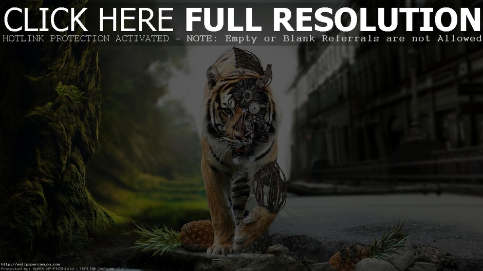 KHAN WITH ENTERTAINMENT