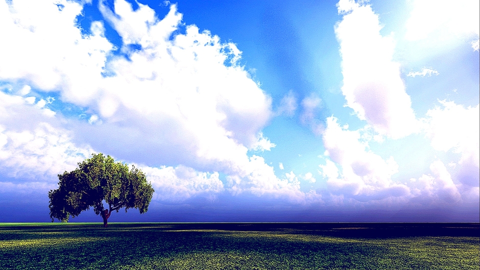 christopherdavid3231