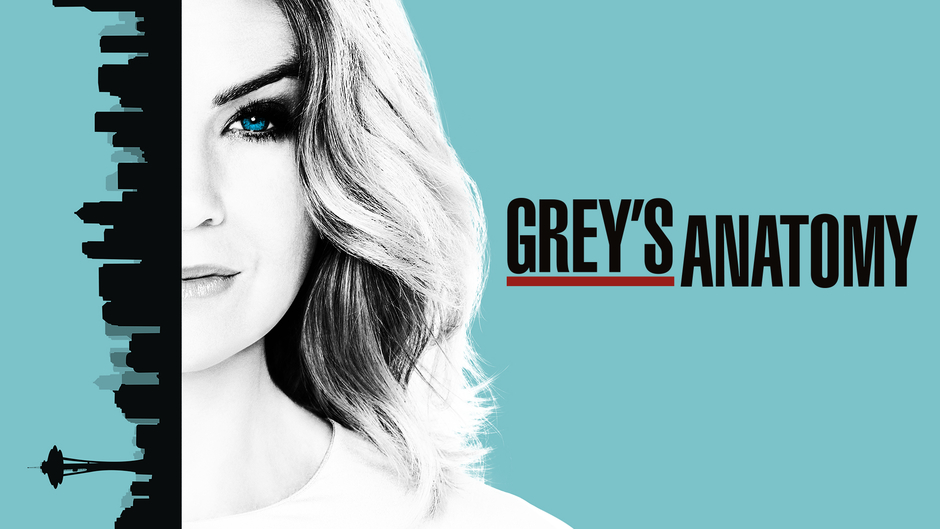 Grey's Anatomy Season 14 (Online Full)