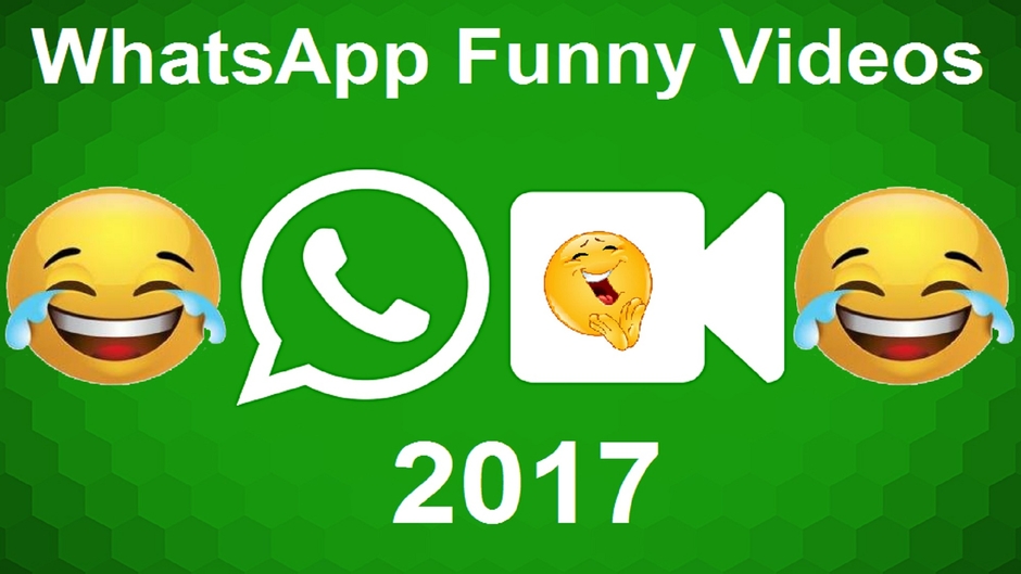 whatsapp videos