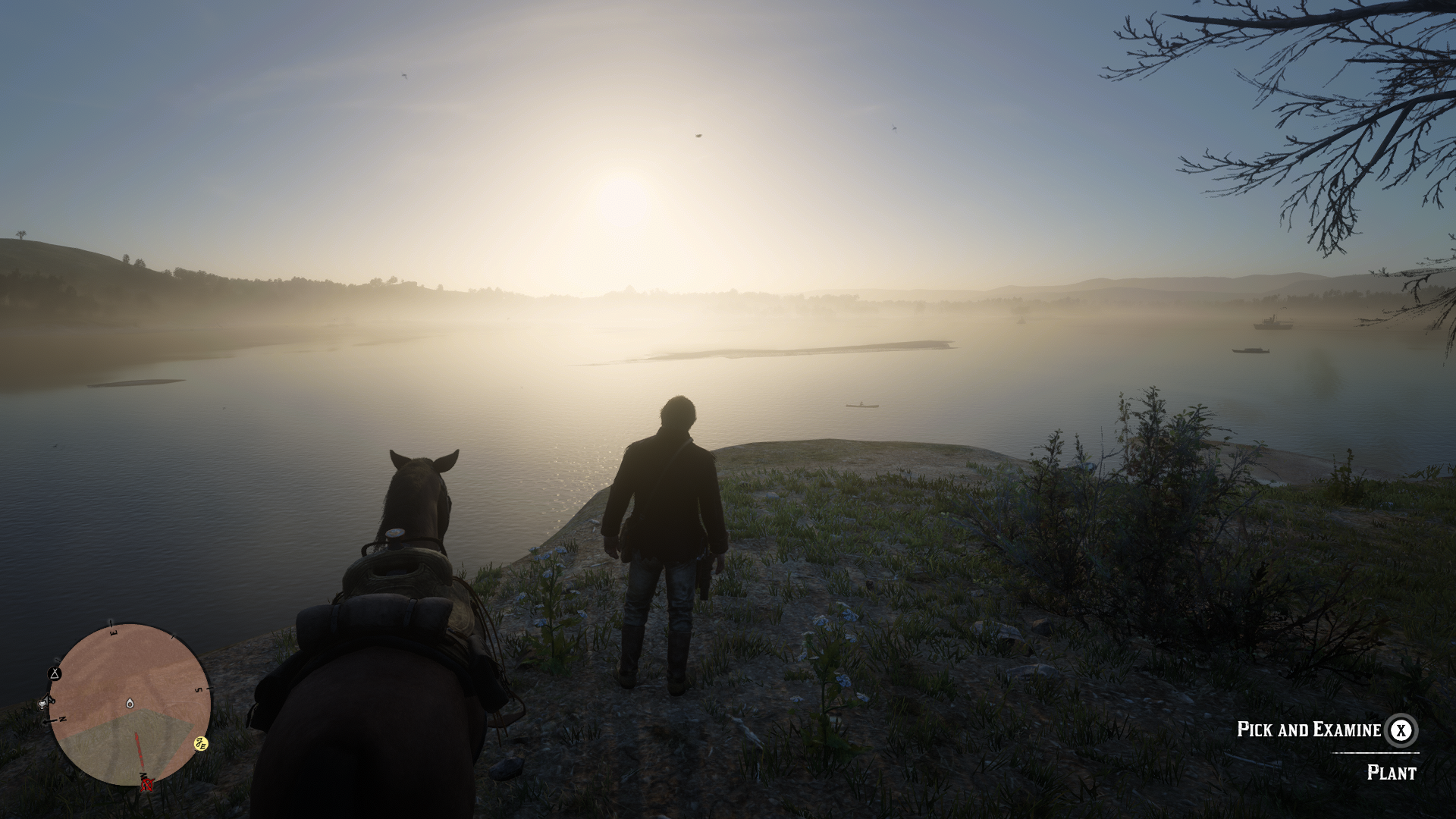 Dailymotion banner for @chevalier