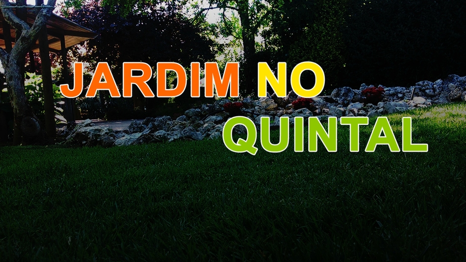 Lincoln Da Silva Azevedo