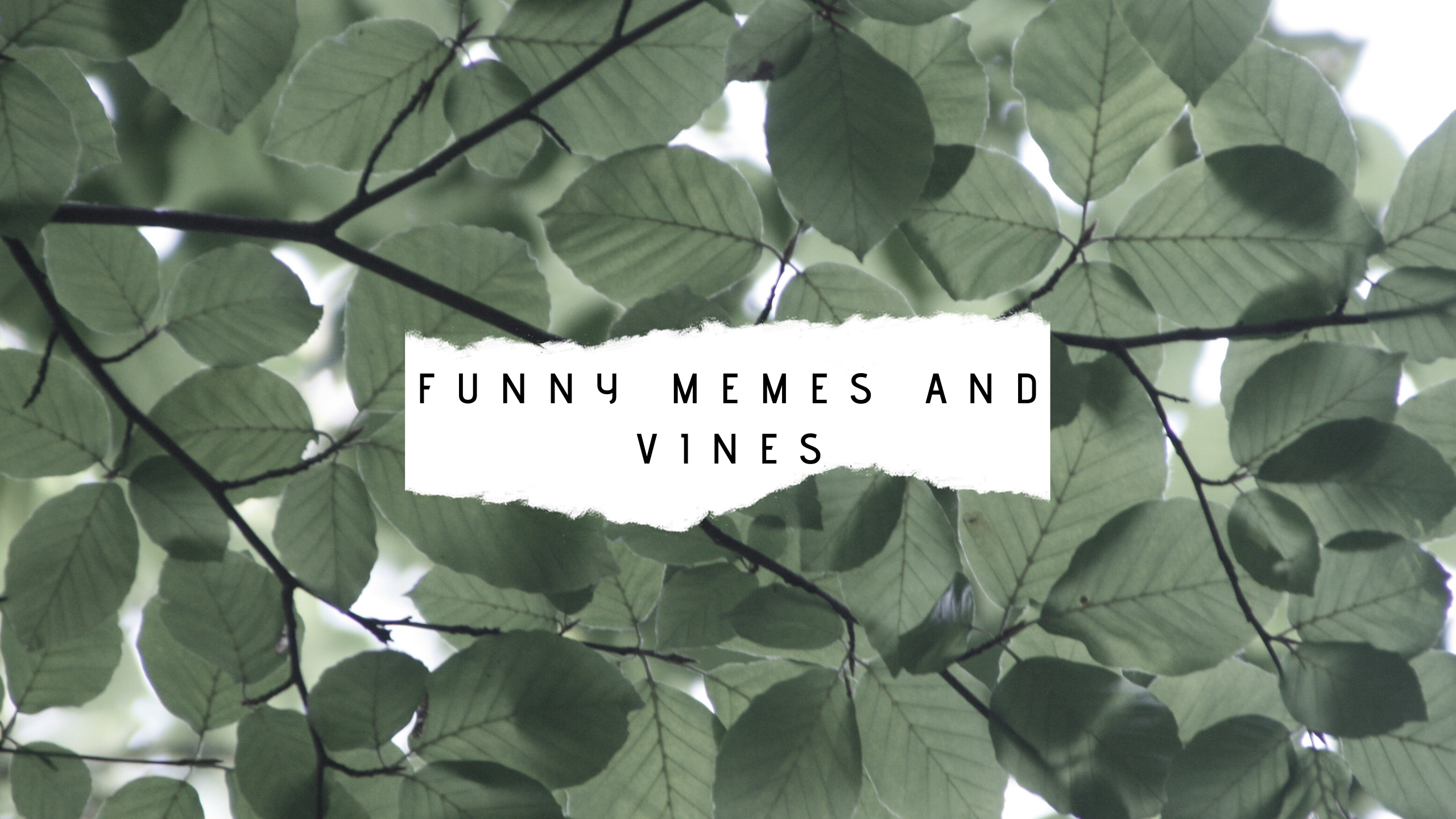 Funny memes and vines