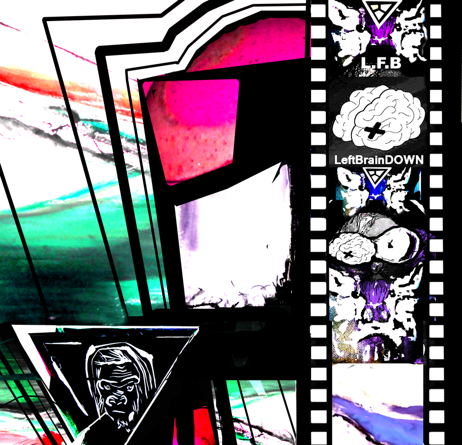 100%belge les perles du net