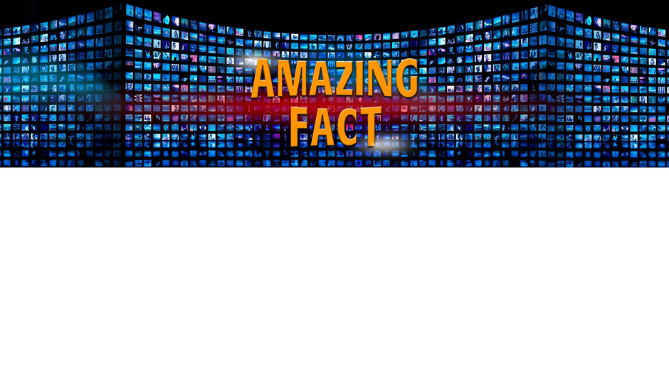 Amazing Facts Official