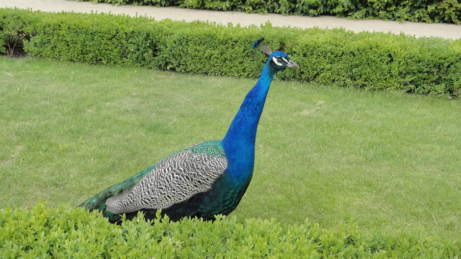 Timeless Season 2 Episode 7