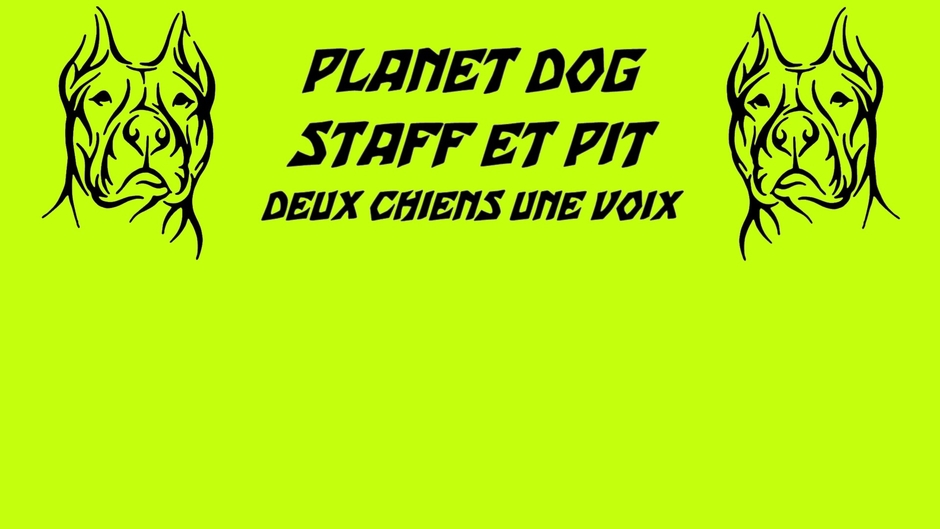 Planet Dog Staff et Pit