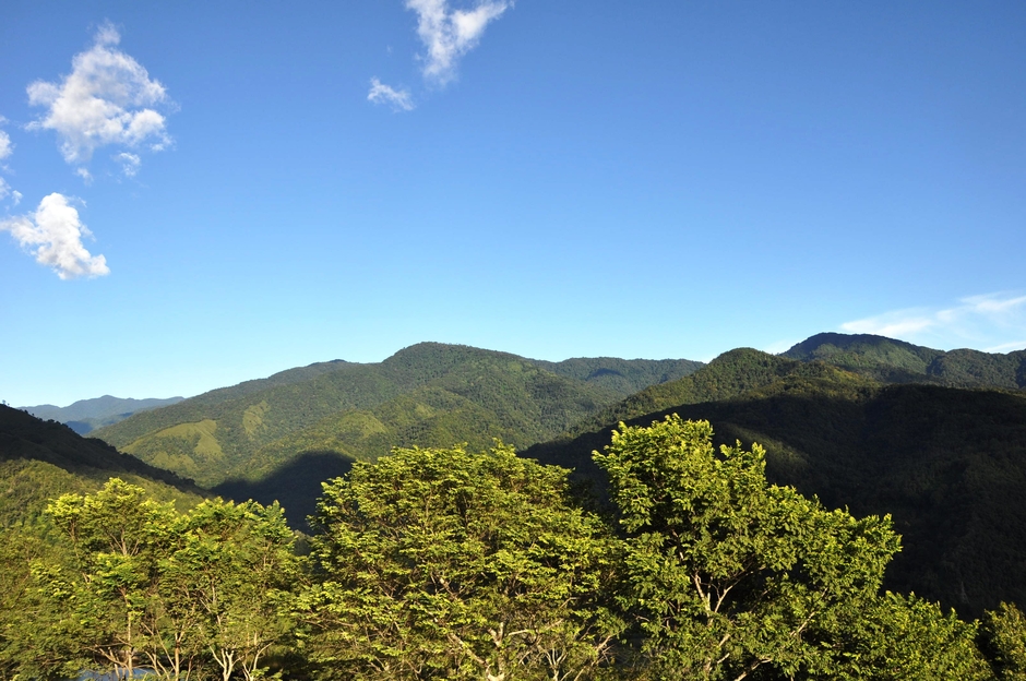 travellerbabag (TBG)