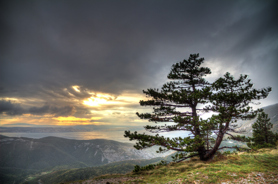 Realtime Outdoors Network