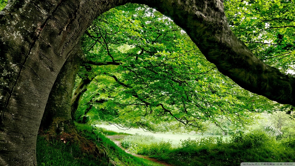 Whispers of the Past