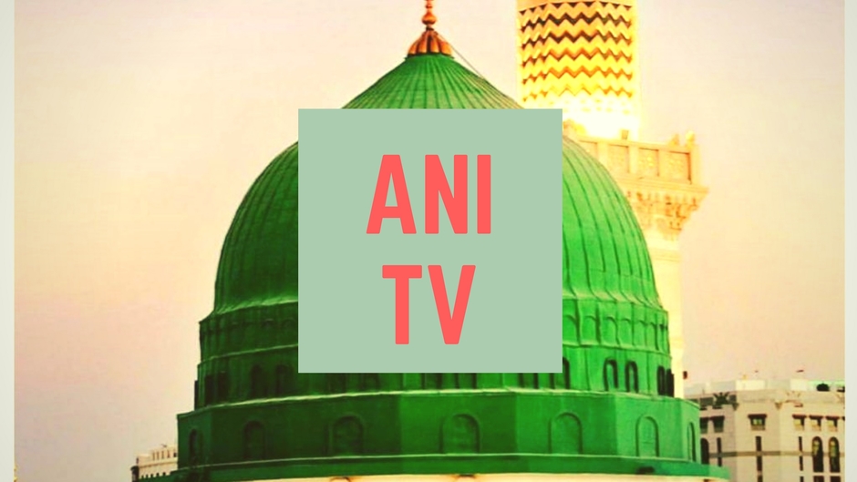 ANI TV