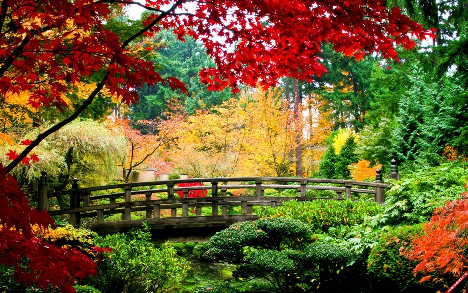 Entertainment everyday