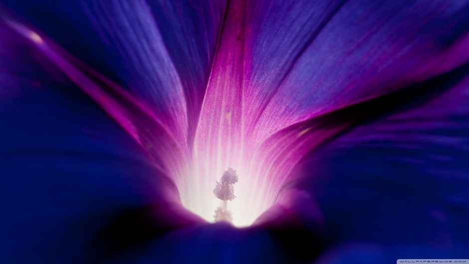 eberhardwille34eti82