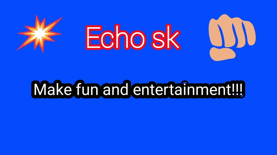 Echo sk