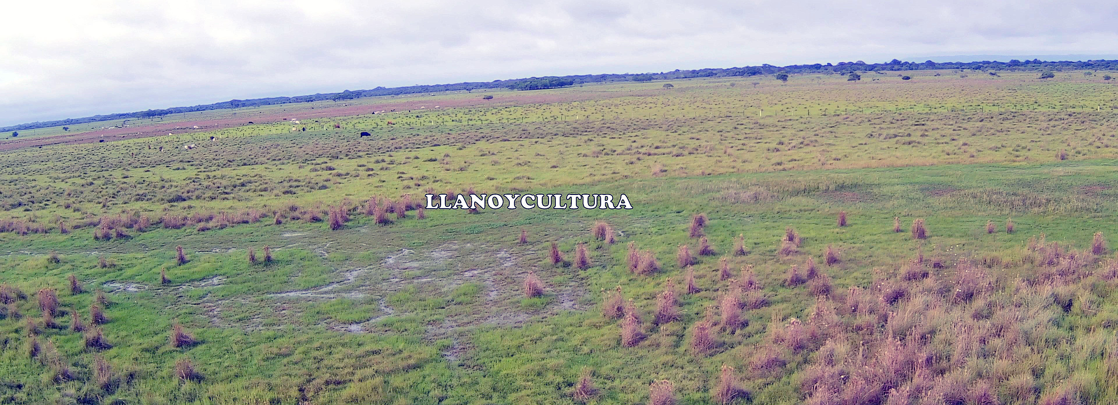 llanoycultura