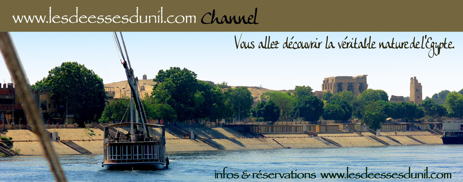 lesdeessesdunil.com channel