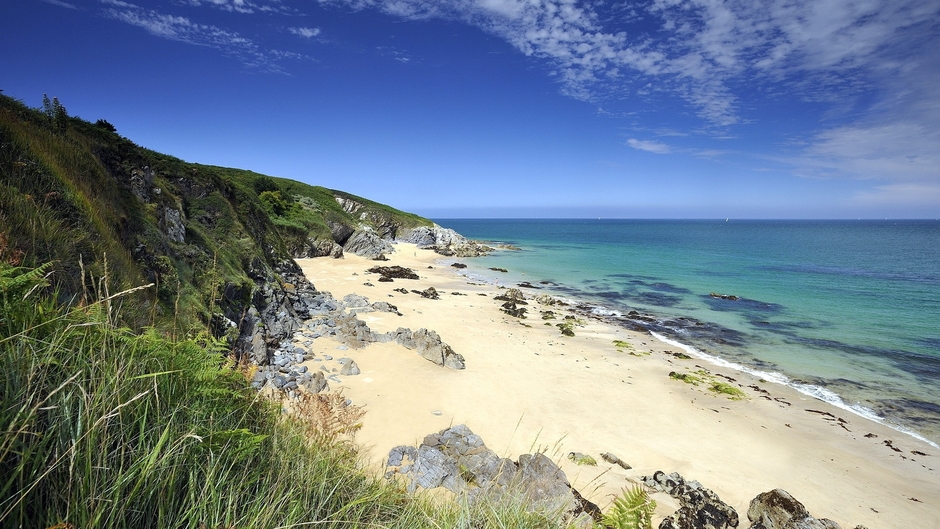 dm_cefa41b529326cc04f204171c143ff33