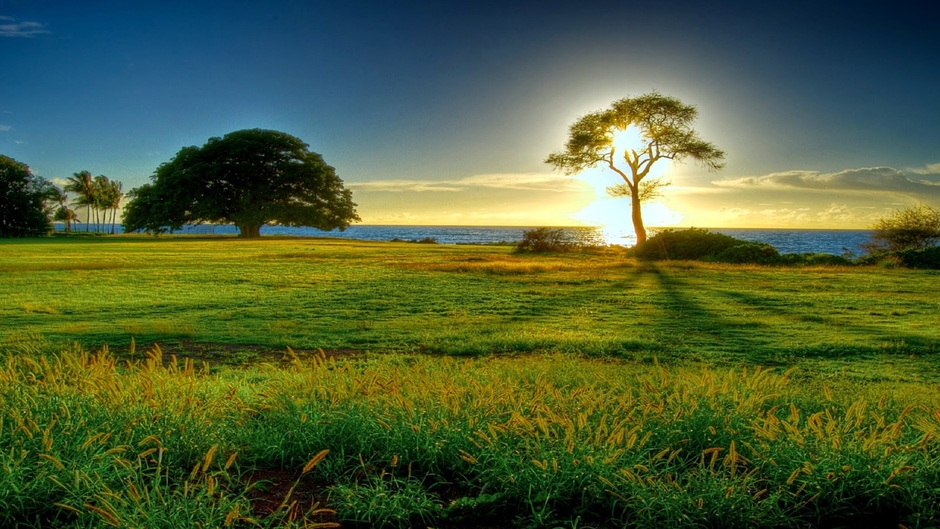 Curiosités et Drôle