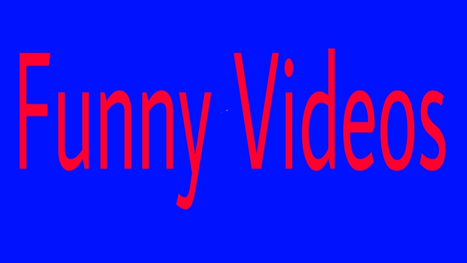 Funny Videos