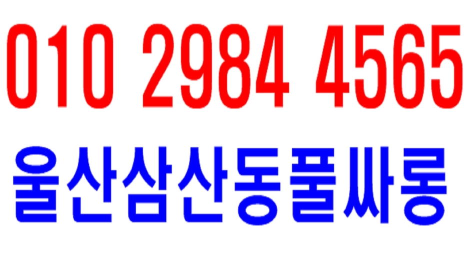 울산풀싸롱 이대표 010-2984-4565