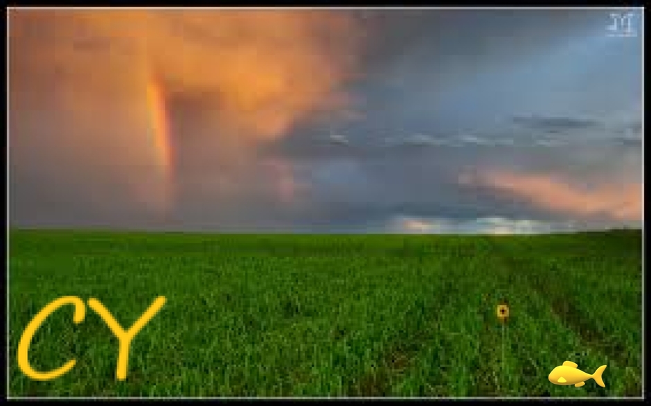 WISDOM - FREEDOM - KINGDOM