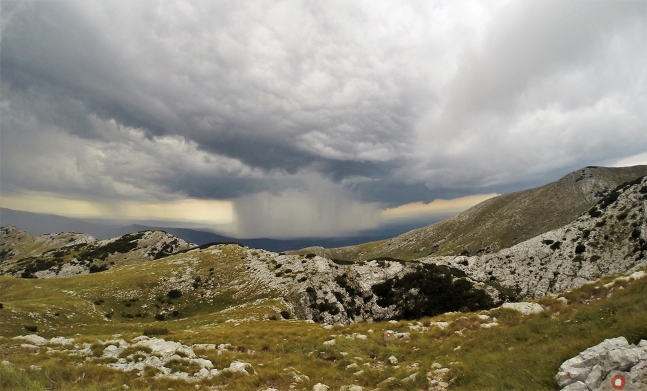 T U R B O   D I N A R I S M