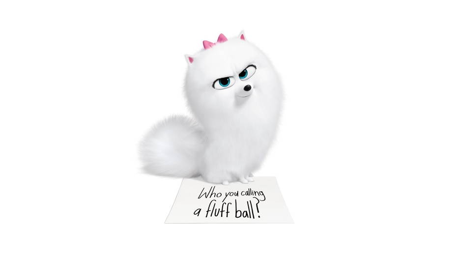 Taimoor Salahuddin aka Mooroo