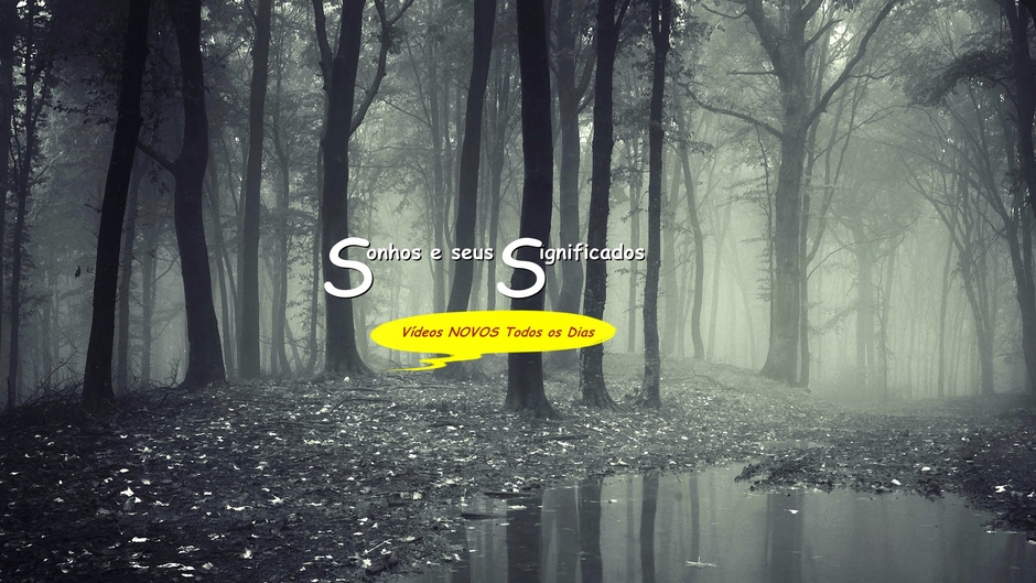 Sonhos e seus significados