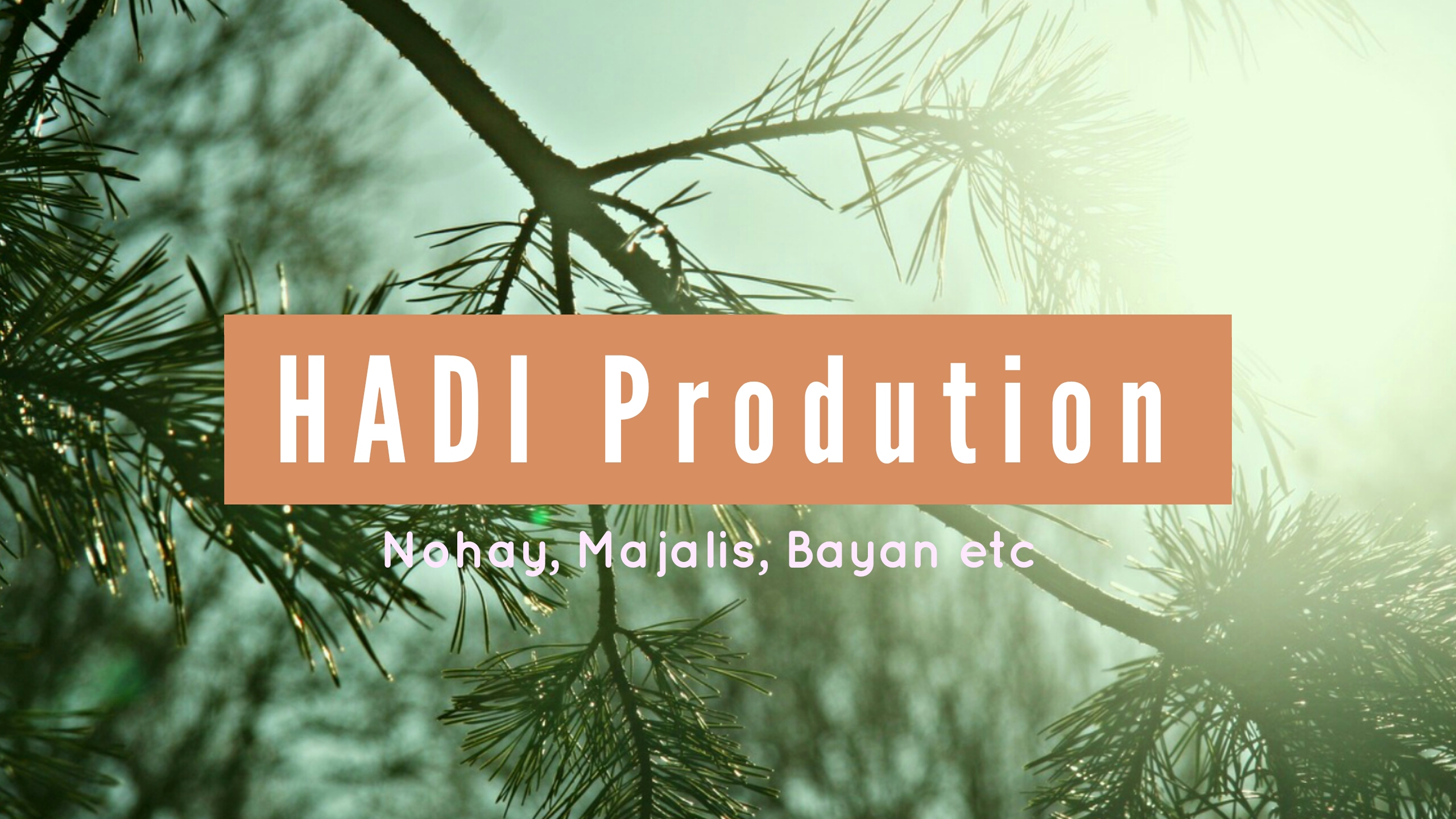 Hadi Prodution