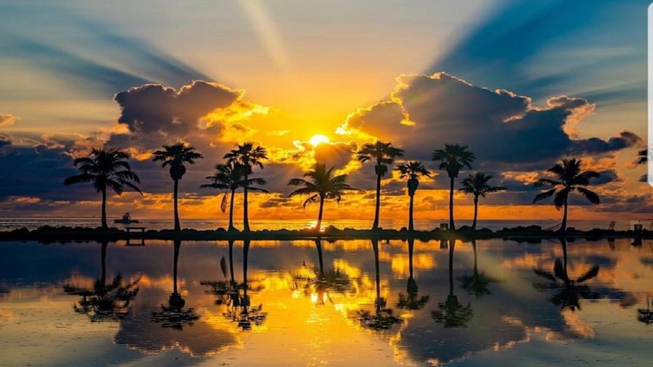 Daily Dose of Satisfaction