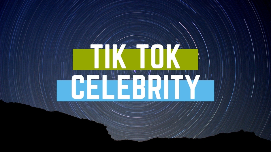 Tik tok celebrity