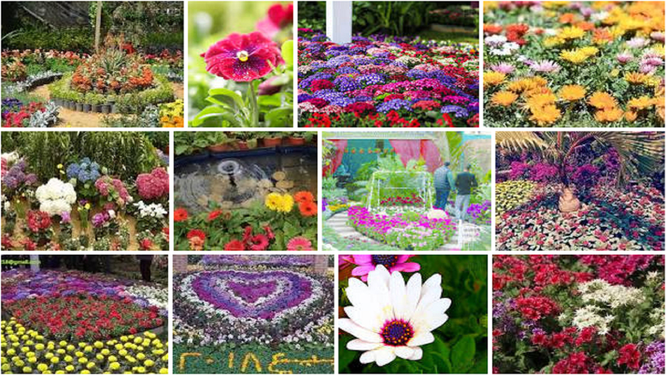 سالي للتسويق و المبيعات