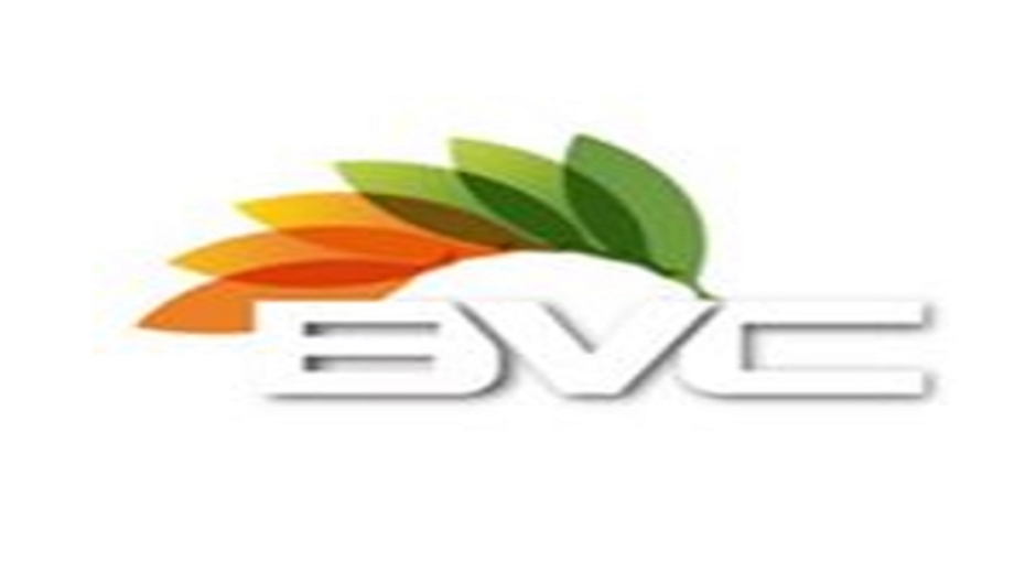 BVC Blinds Cleaning