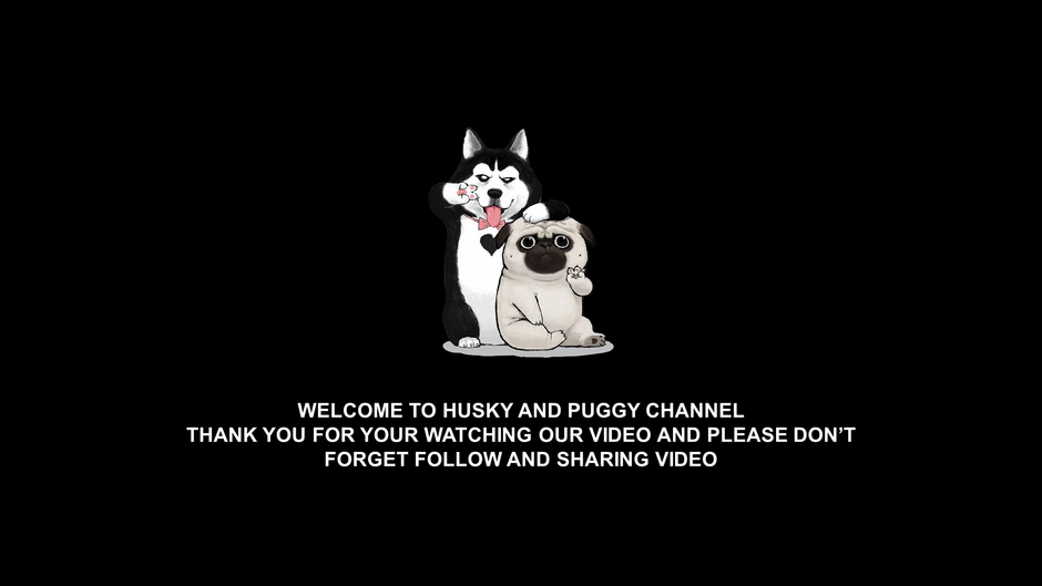 Husky&Pug