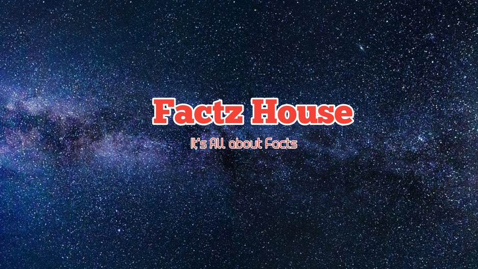 Factz House