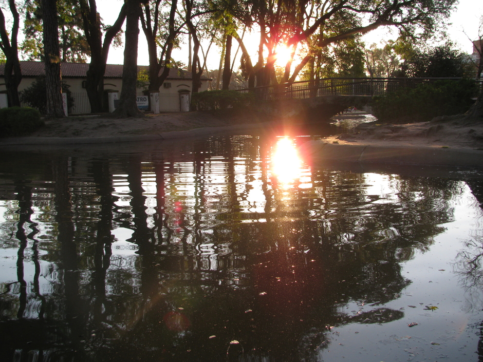 LOS 8 SENDEROS Tarot en Español